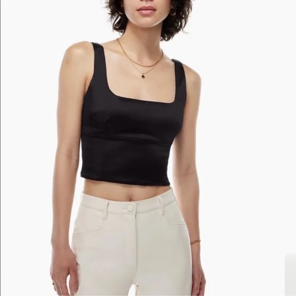 Aritzia Wilfred Shine Satin Bustier crop top